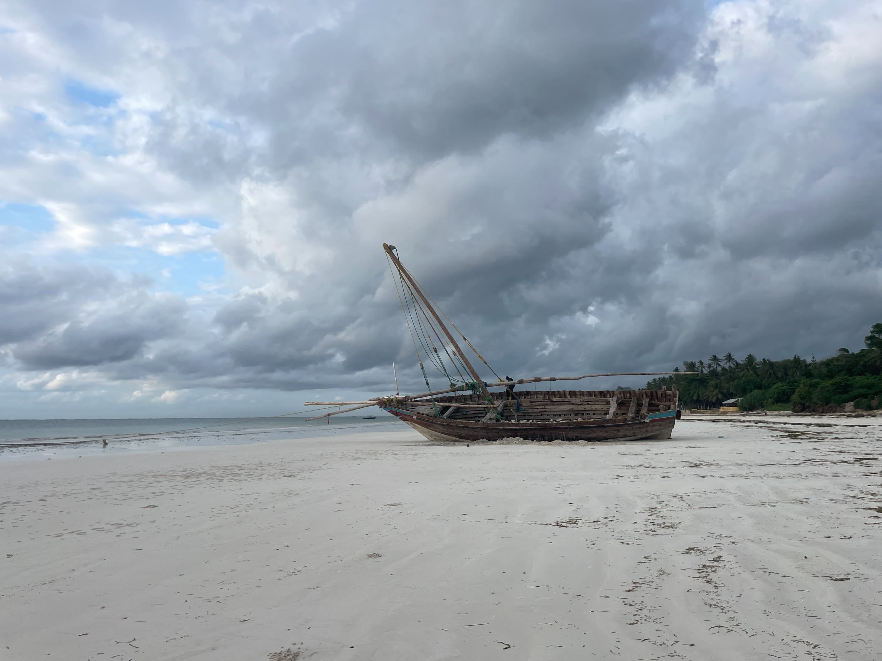 Diani